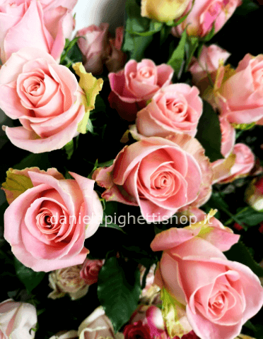 Rose colore rosa da comporre in mazzo per numero di steli.